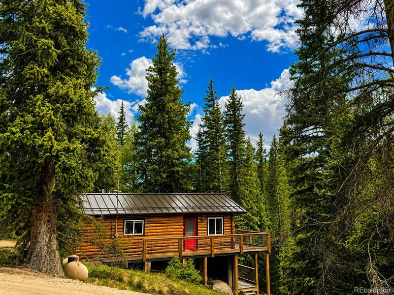 467 Nuthatch Dr, Alma, CO 80420
