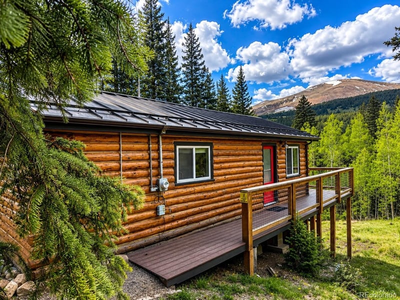467 Nuthatch Dr, Alma, CO 80420