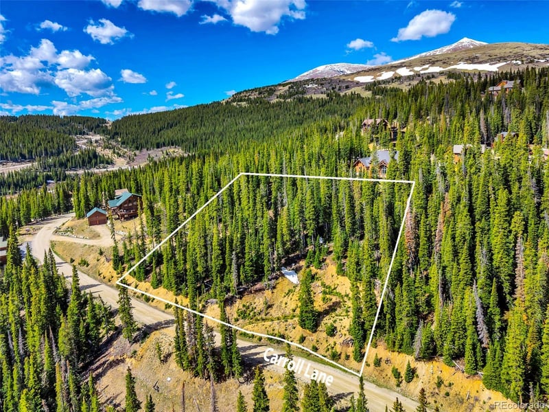 413 Carroll Ln, Breckenridge, CO 80424