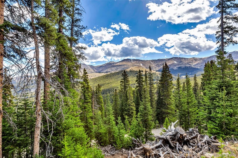 413 Carroll Ln, Breckenridge, CO 80424