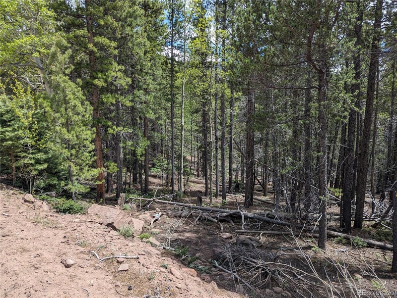 3159 Purnell Ln, Fort Garland, CO 81133