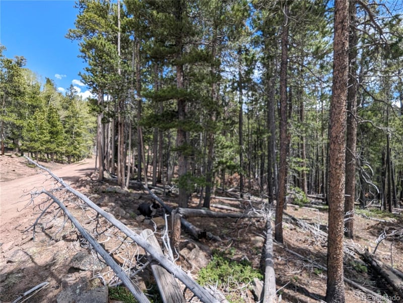 3159 Purnell Ln, Fort Garland, CO 81133