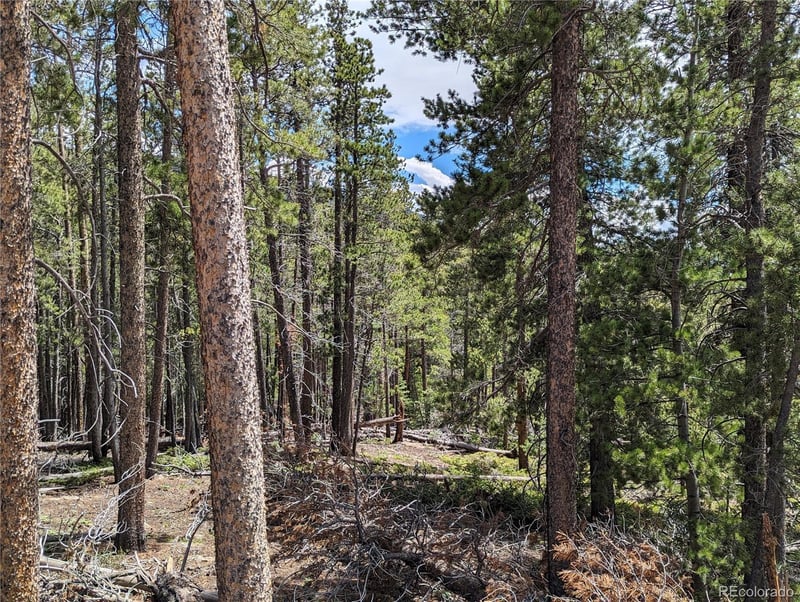 3159 Purnell Ln, Fort Garland, CO 81133