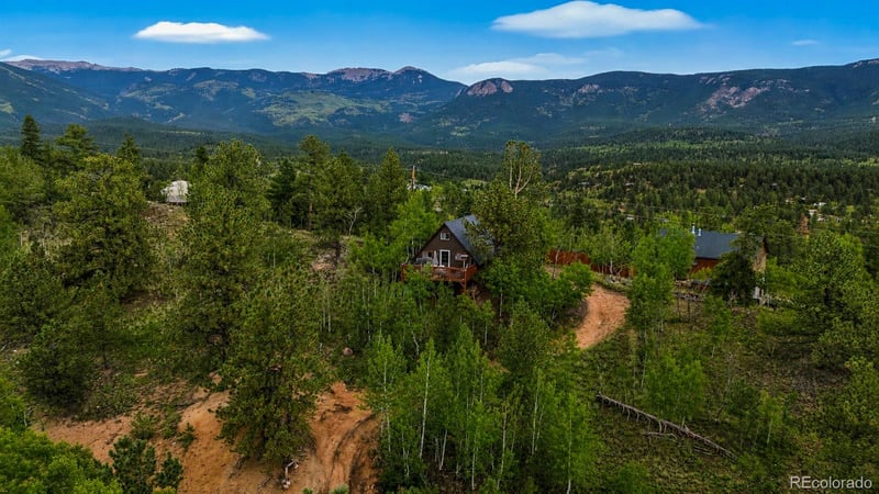 229 Mcdougal Rd, Bailey, CO 80421