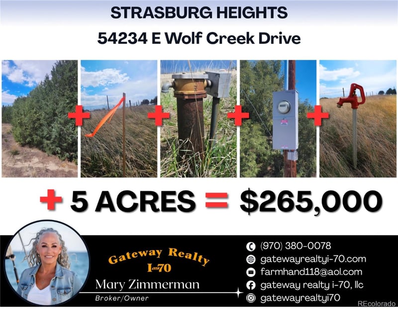 54234 Wolf Creek Dr, Strasburg, CO 80136
