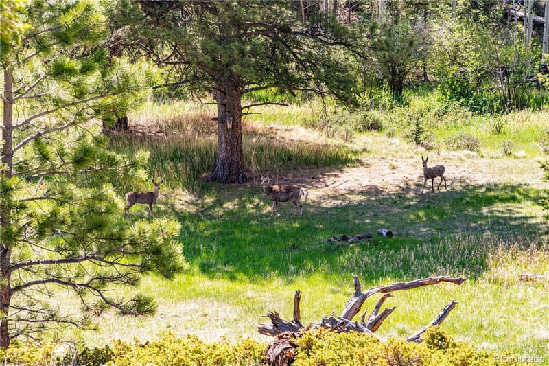 298 Steven Rd, Canon City, CO 81212