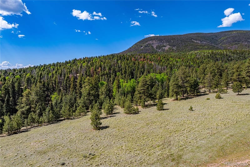 298 Steven Rd, Canon City, CO 81212