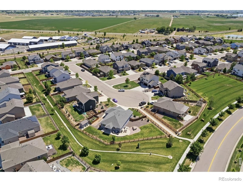 902 Pierson Ct, Windsor, CO 80550