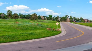 8286 Lightening View Dr, Parker, CO 80134