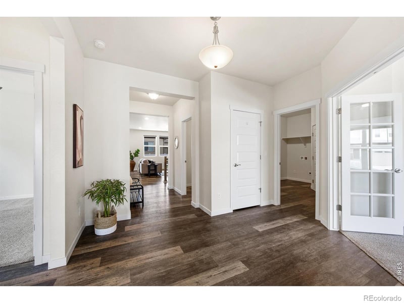 1141 E Ibex Dr, Severance, CO 80550