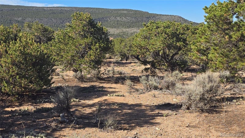 Lot 3873 Shinn Rd Lot 3873, Fort Garland, CO 81133