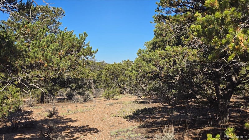 Lot 3873 Shinn Rd Lot 3873, Fort Garland, CO 81133