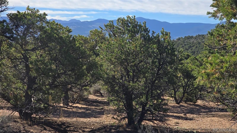 Lot 3873 Shinn Rd Lot 3873, Fort Garland, CO 81133