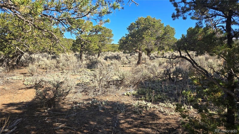 Lot 3873 Shinn Rd Lot 3873, Fort Garland, CO 81133