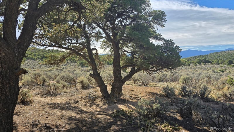 Lot 3873 Shinn Rd Lot 3873, Fort Garland, CO 81133
