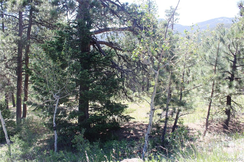 11702 Overlook Dr, Golden, CO 80403