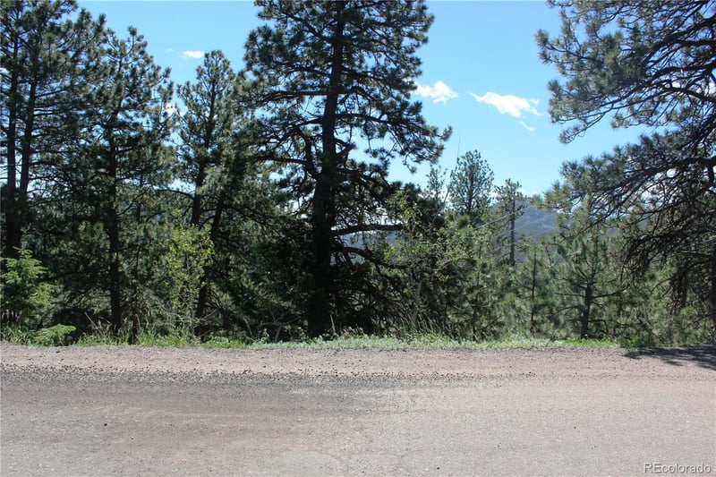 11702 Overlook Dr, Golden, CO 80403
