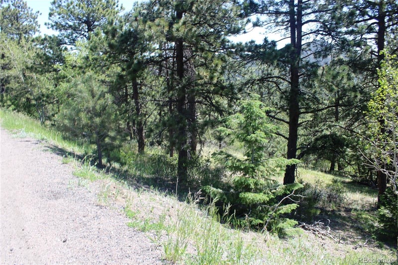 11702 Overlook Dr Lot 1&2, Golden, CO 80403
