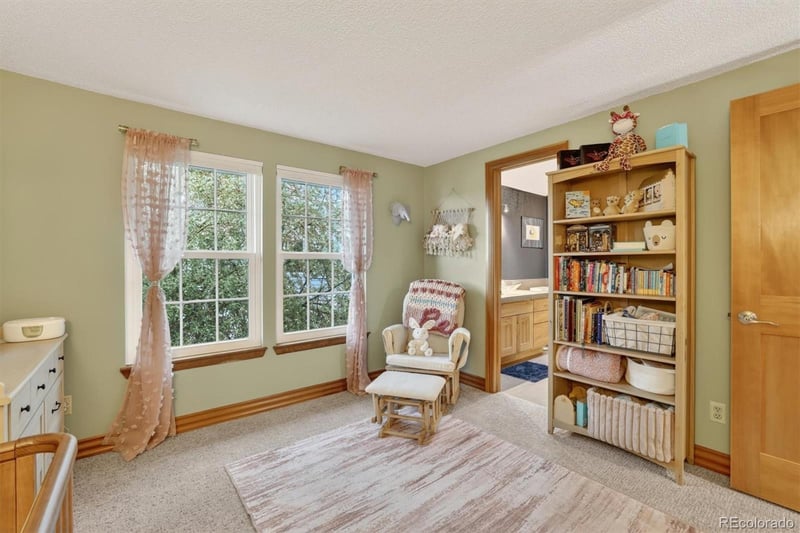 10373 Irving Ct, Westminster, CO 80031