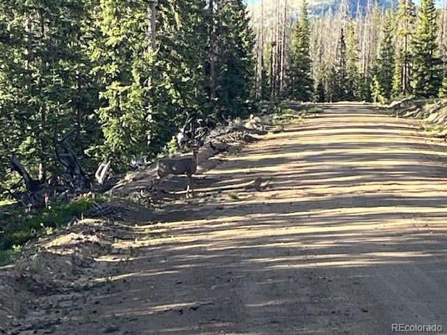 Lot 6525 Schlueter Rd, San Luis, CO 81152