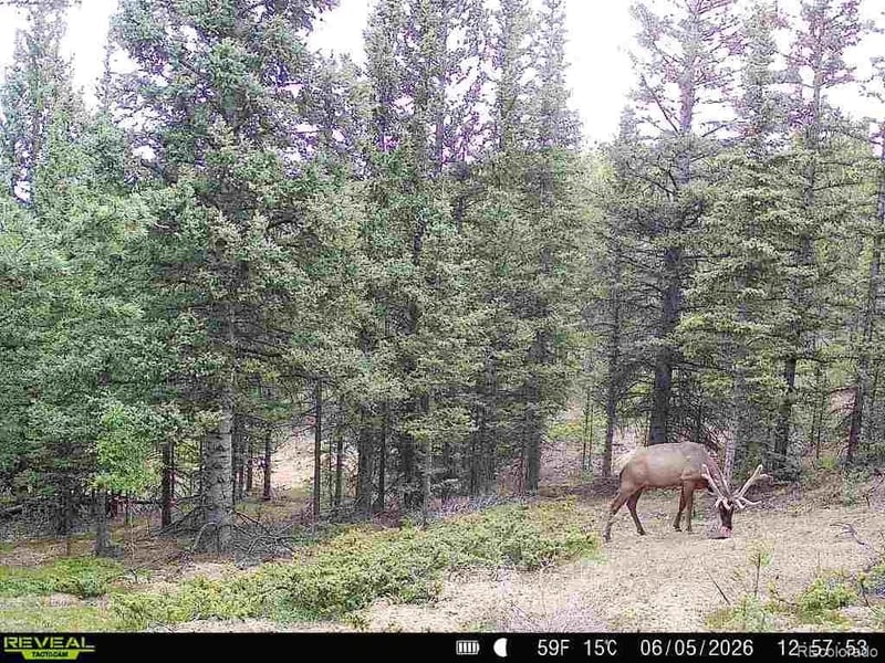 6601 Heckman Rd, San Luis, CO 81152