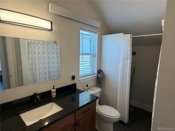 1218 Silver Vault St, Leadville, CO 80461