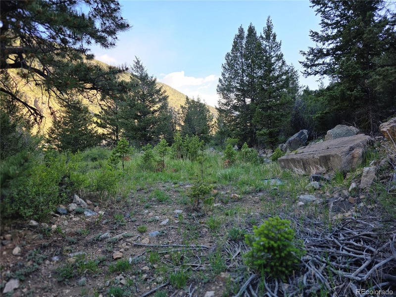 1784 Main , Georgetown, CO 80444
