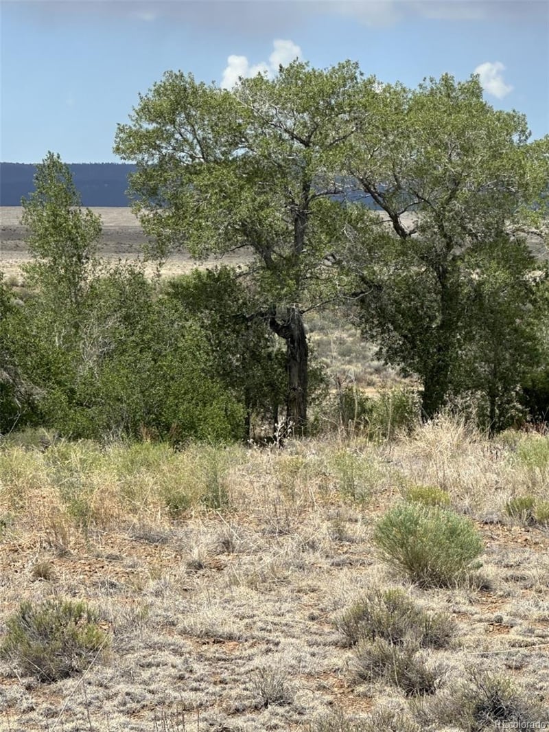 Lot 95 Prairie Wind Ln, Capulin, CO 81124