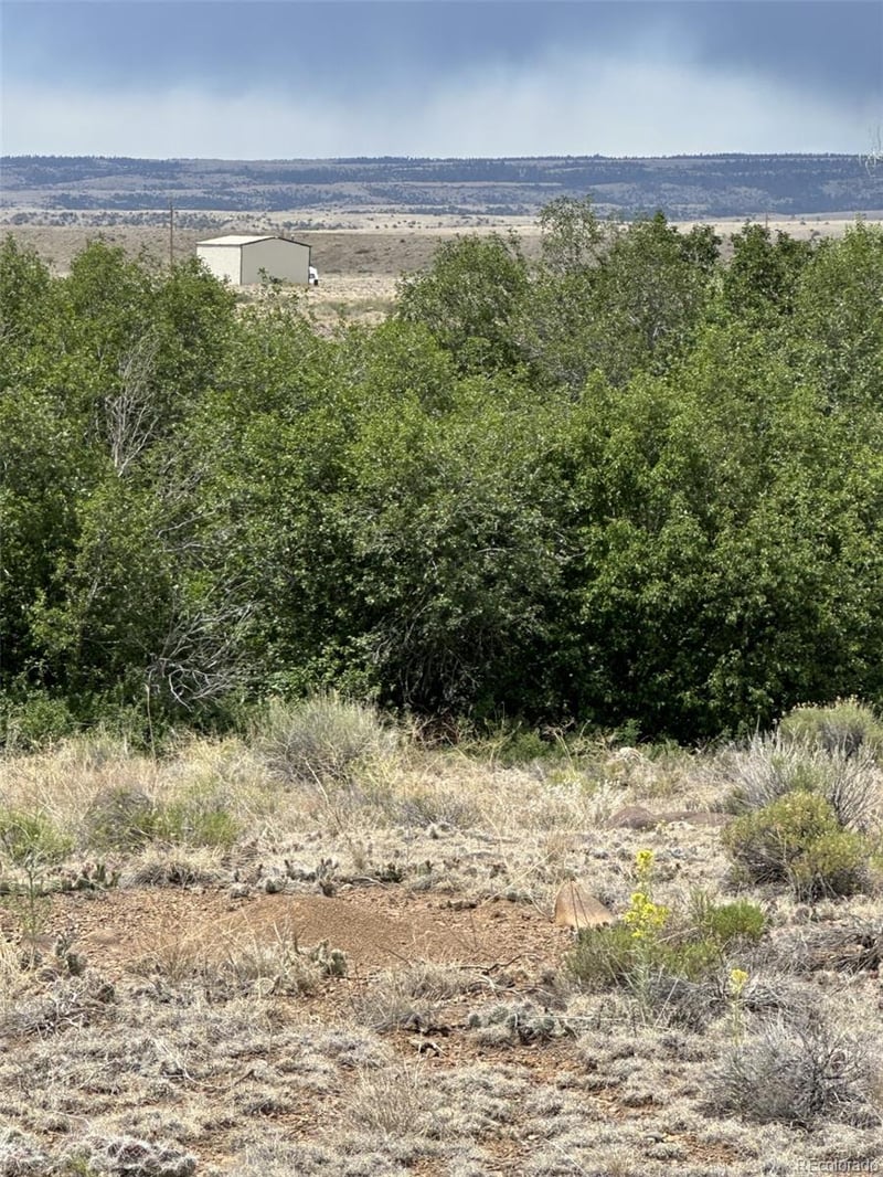 Lot 95 Prairie Wind Ln, Capulin, CO 81124