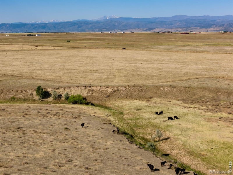 4 Cr 82 , Wellington, CO 80549