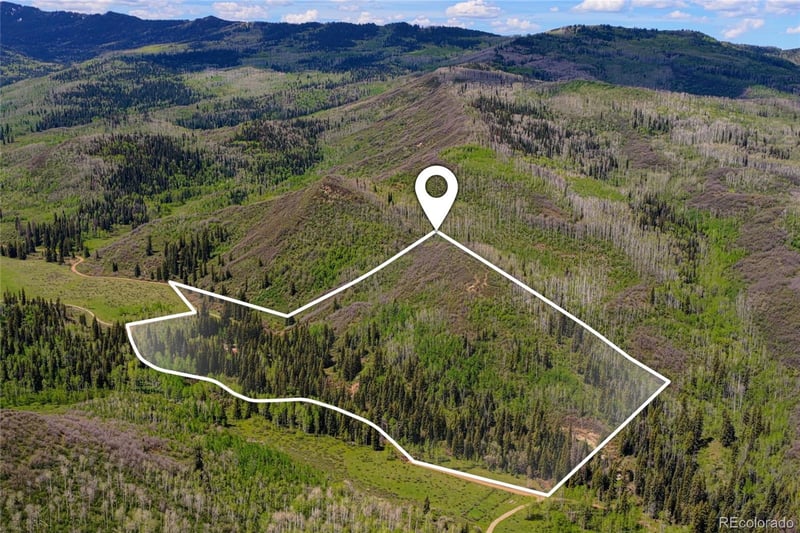 12123 County Rd 313, New Castle, CO 81647