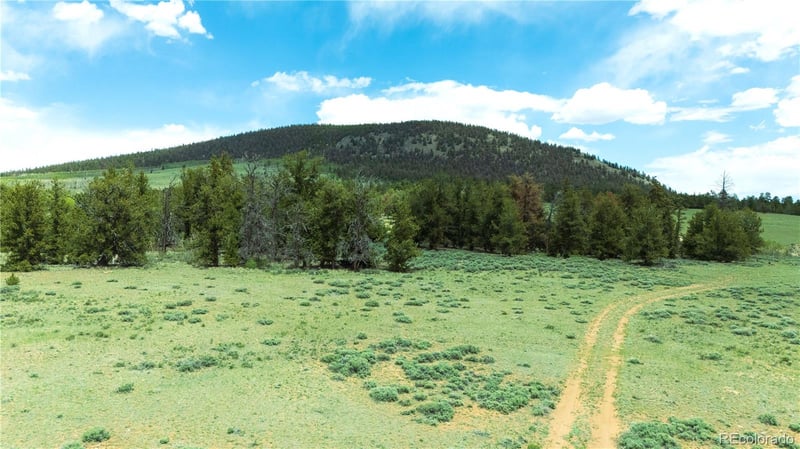 2662 Willow Creek Ln, Fairplay, CO 80440