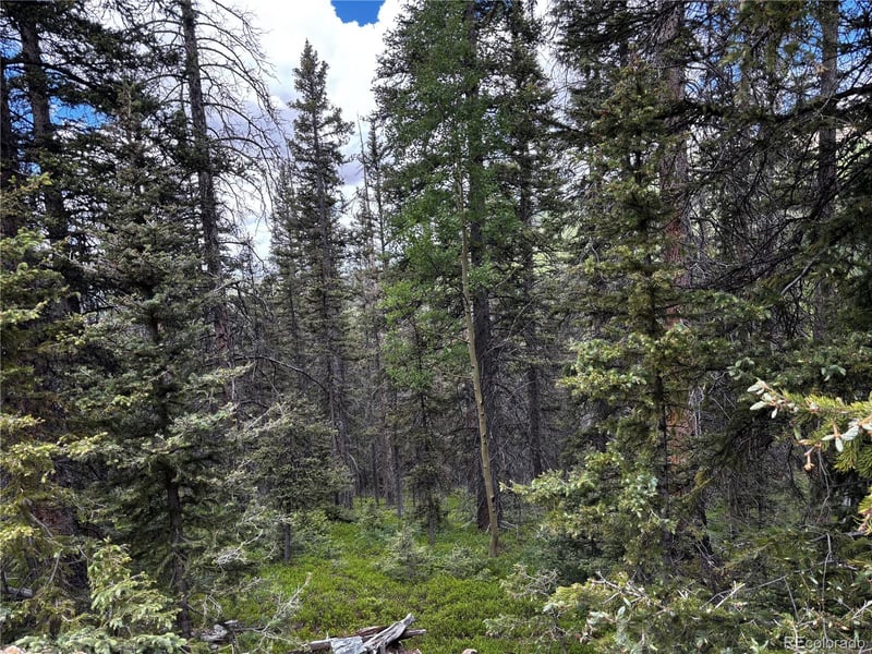 00 Forbes Rd, Fort Garland, CO 81133
