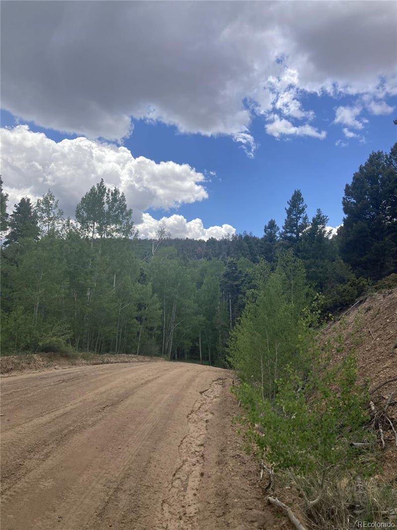 LOT 6447 Shoshita Rd Lot 6447, San Luis, CO 81152