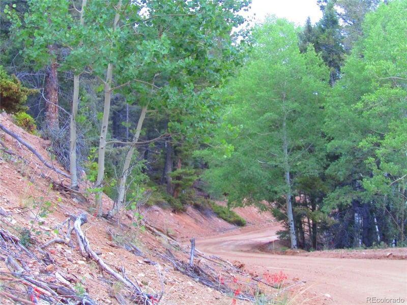 LOT 6447 Shoshita Rd Lot 6447, San Luis, CO 81152