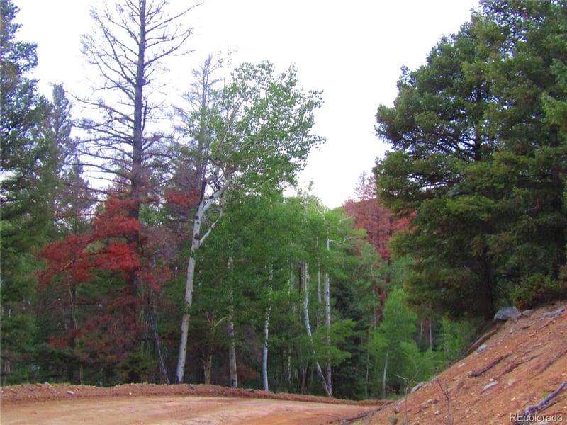 LOT 6447 Shoshita Rd Lot 6447, San Luis, CO 81152