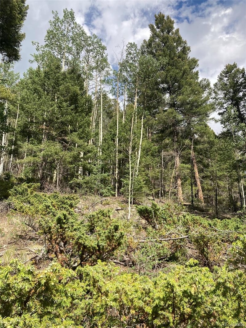 LOT 6461 Jacquez Rd LOT 6461, San Luis, CO 81152