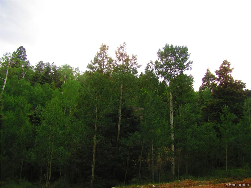 LOT 6461 Jacquez Rd LOT 6461, San Luis, CO 81152