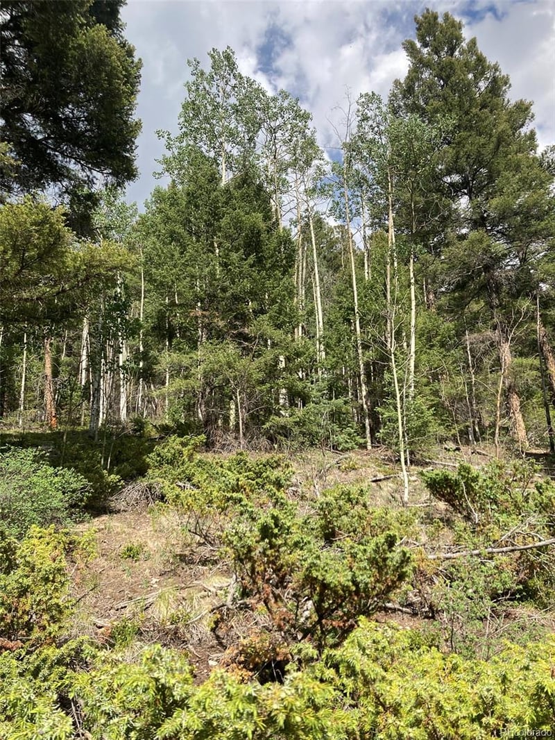 LOT 6461 Jacquez Rd LOT 6461, San Luis, CO 81152