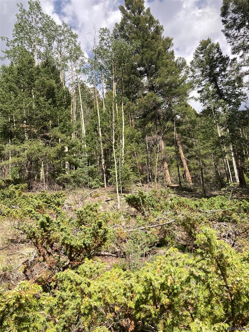 LOT 6461 Jacquez Rd LOT 6461, San Luis, CO 81152
