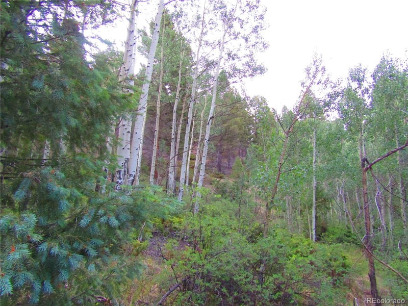 LOT 6461 Jacquez Rd LOT 6461, San Luis, CO 81152