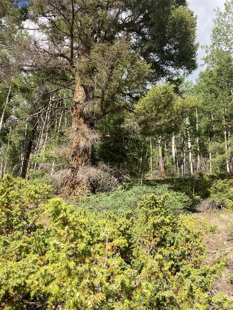 LOT 6461 Jacquez Rd LOT 6461, San Luis, CO 81152