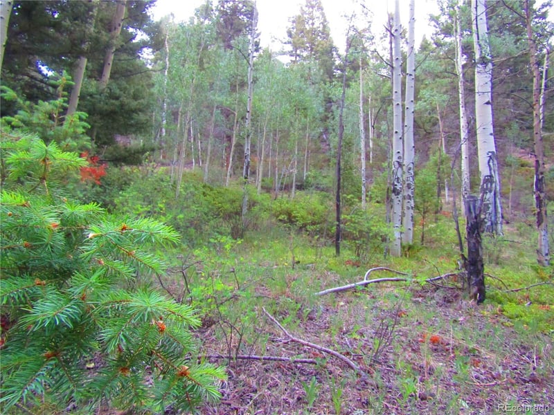 LOT 6461 Jacquez Rd LOT 6461, San Luis, CO 81152