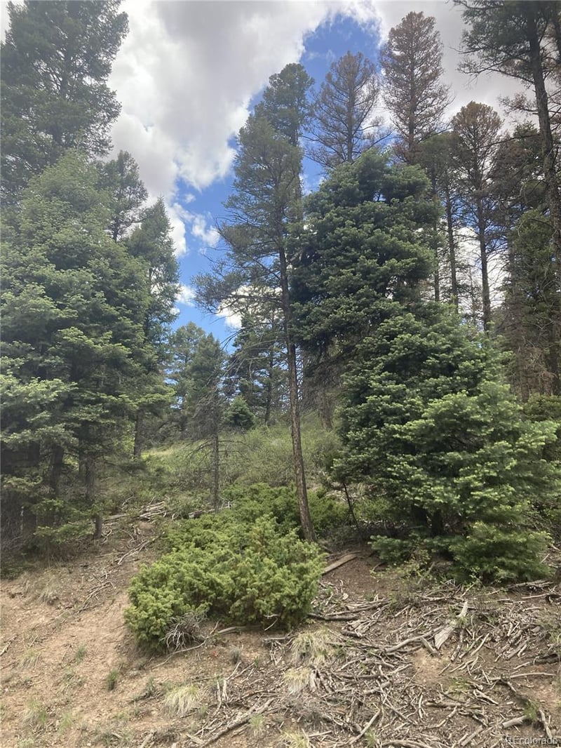 LOT 6785 Starkweather Rd Lot 6785, San Luis, CO 81152