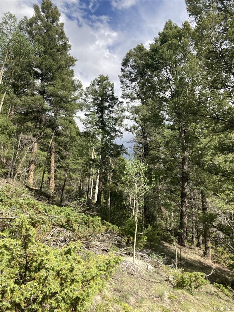 Lot 6858 Starkweather Rd, San Luis, CO 81152
