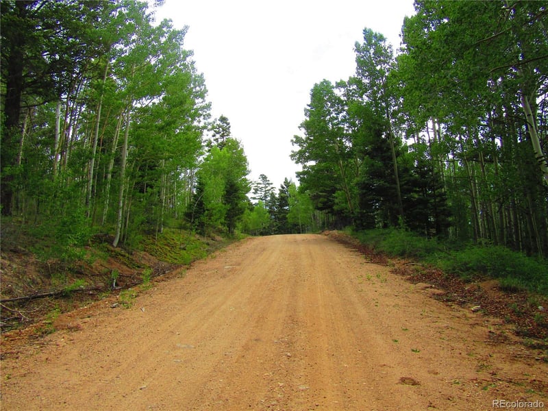 LOT 6850 Ryland Rd Lot 6850, San Luis, CO 81152