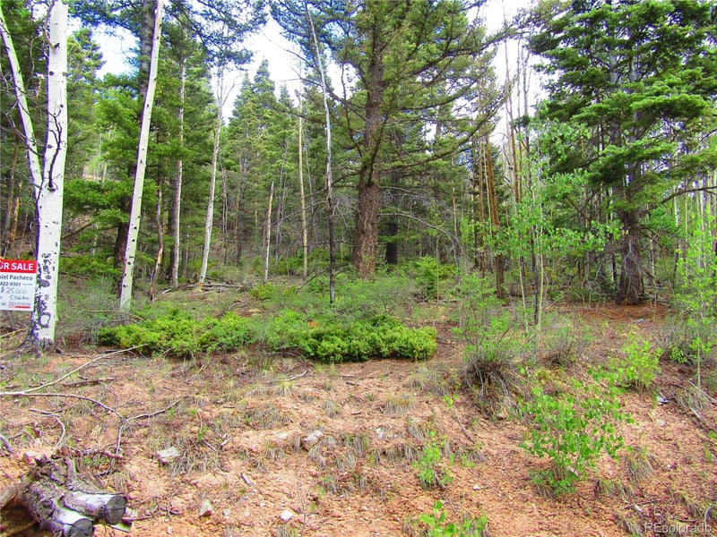 LOT 6850 Ryland Rd Lot 6850, San Luis, CO 81152