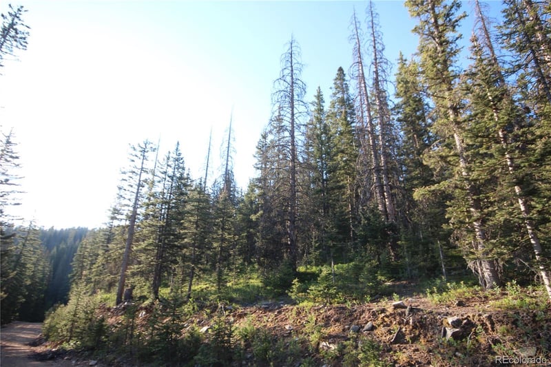 LOT 6613 Starkweather Rd LOT 6613, San Luis, CO 81152