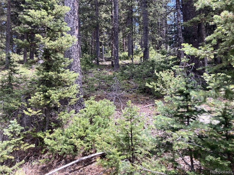 Lot 6614 Starkweather Rd Lot 6614, San Luis, CO 81152