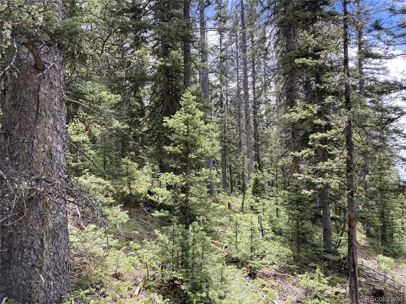 Lot 6614 Starkweather Rd Lot 6614, San Luis, CO 81152